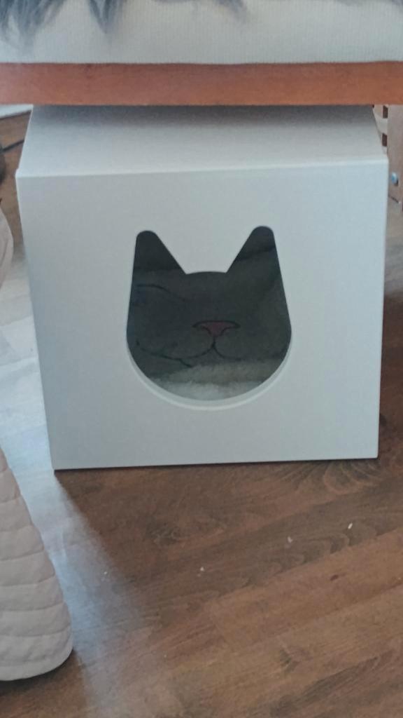 Casier KALLAX Ikéa pour intégrer dans une bibliothèque., Maison & Meubles, Armoires | Étagères, Neuf, Enlèvement