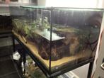 Aquarium  L 170 x B 70 x H 60 + metalen voet, Ophalen, Zo goed als nieuw, Leeg aquarium