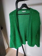 Groene Bernadette gilet maat TU merk Millenium, Kleding | Dames, Ophalen of Verzenden