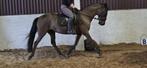 Scheren van uw paard, Dieren en Toebehoren, Ophalen, Nieuw