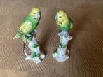Capodimonte twee parkieten - antiek, Ophalen of Verzenden