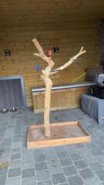 Arbre perroquet/ perruches, Perroquet