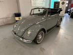 VW Kever Cabrio - full resto - 1970, Auto's, Volkswagen, Te koop, Zilver of Grijs, Bedrijf, Benzine