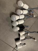 Peertjes en lampen (led), Ophalen