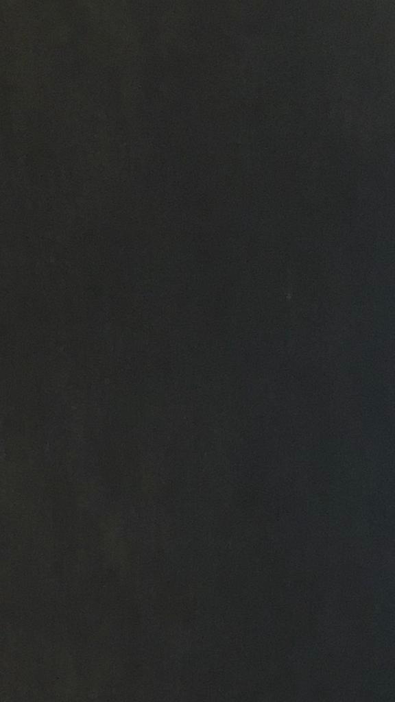 Sculptures Belges 260pag Cantré Caille Bury Minne Bogaert, Boeken, Kunst en Cultuur | Beeldend, Zo goed als nieuw, Beeldhouwkunst