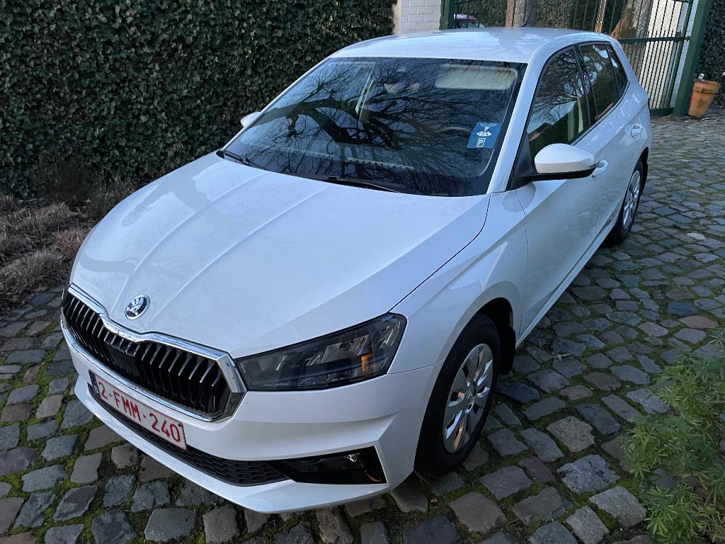 Skoda Fabia, Auto's, Voorwielaandrijving, 4 deurs, Stof, Wit