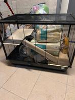 Cage à hamster + accessoires, Animaux & Accessoires, Rongeurs & Lapins | Cages & Clapiers, Utilisé, Cage, Enlèvement ou Envoi