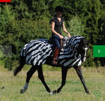 Bucas buzz off riding zebra beschikbaar voor biedingen