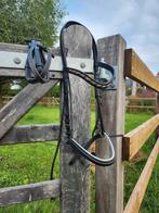 Hoofdstel, Dieren en Toebehoren, Ophalen of Verzenden, Gebruikt