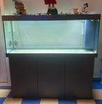 Aquarium  juwel Rio 450, Enlèvement, Utilisé, Aquarium vide