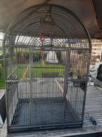 Mooie papegaaien kooi, Ophalen, Zo goed als nieuw