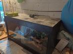 Terarium, Dieren en Toebehoren, Ophalen, Gebruikt, Terrarium of Paludarium