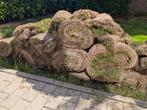 Gratis grasmat / graszoden, Ophalen, 20 m² of meer, Gras
