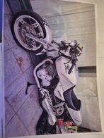 Honda XBR 500, Motoren, Particulier