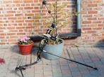rh hoyt montega 40-50  -26-29 treklengte, Sport en Fitness, Handboogschieten, Ophalen, Zo goed als nieuw, Compoundboog