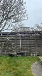 Gratis serre met deur, Tuin en Terras, Ophalen, Gebruikt, 4 tot 6 meter, 2 meter of meer