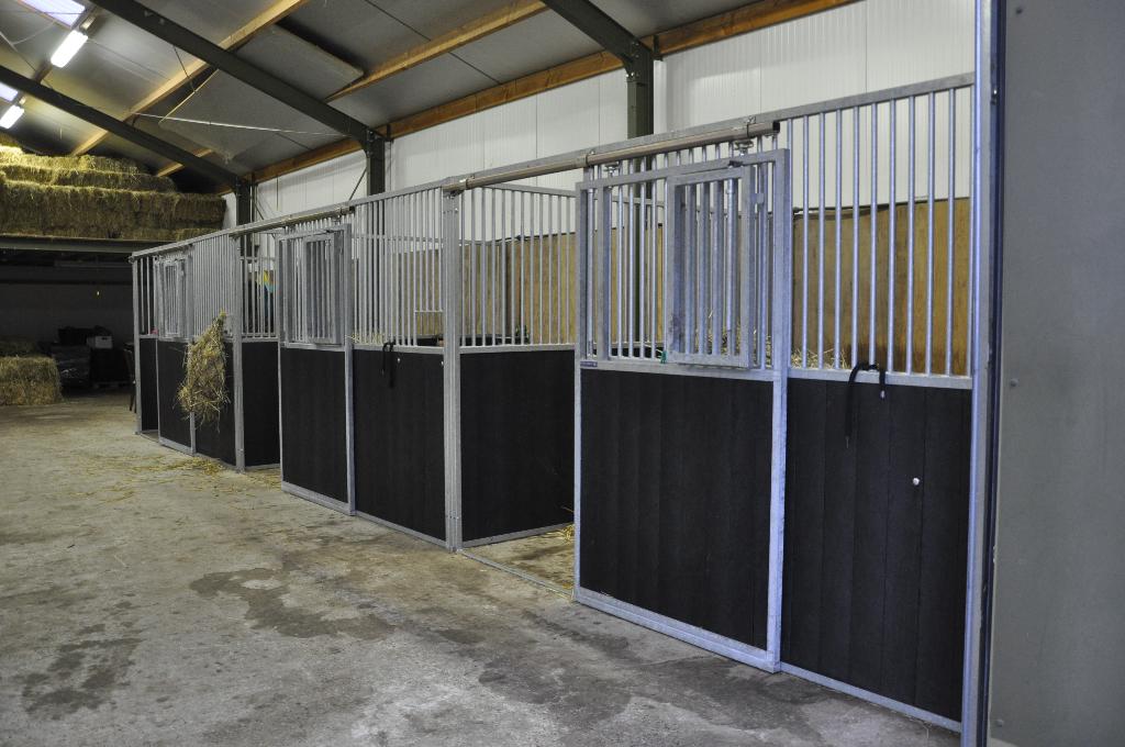 Boxes à chevaux, écuries, écuries, murs avant,, Pâturage, 4 chevaux ou poneys ou plus
