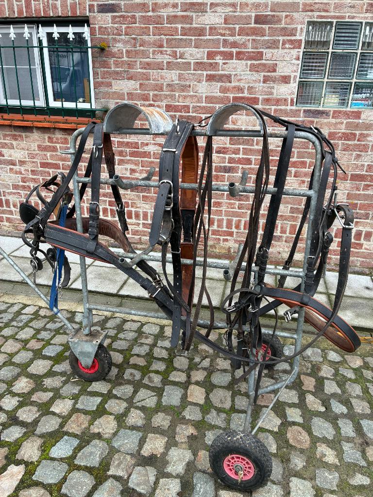 Enkelspan tuig iDEAL full, Dieren en Toebehoren, Ophalen of Verzenden, Gebruikt, Recreatie