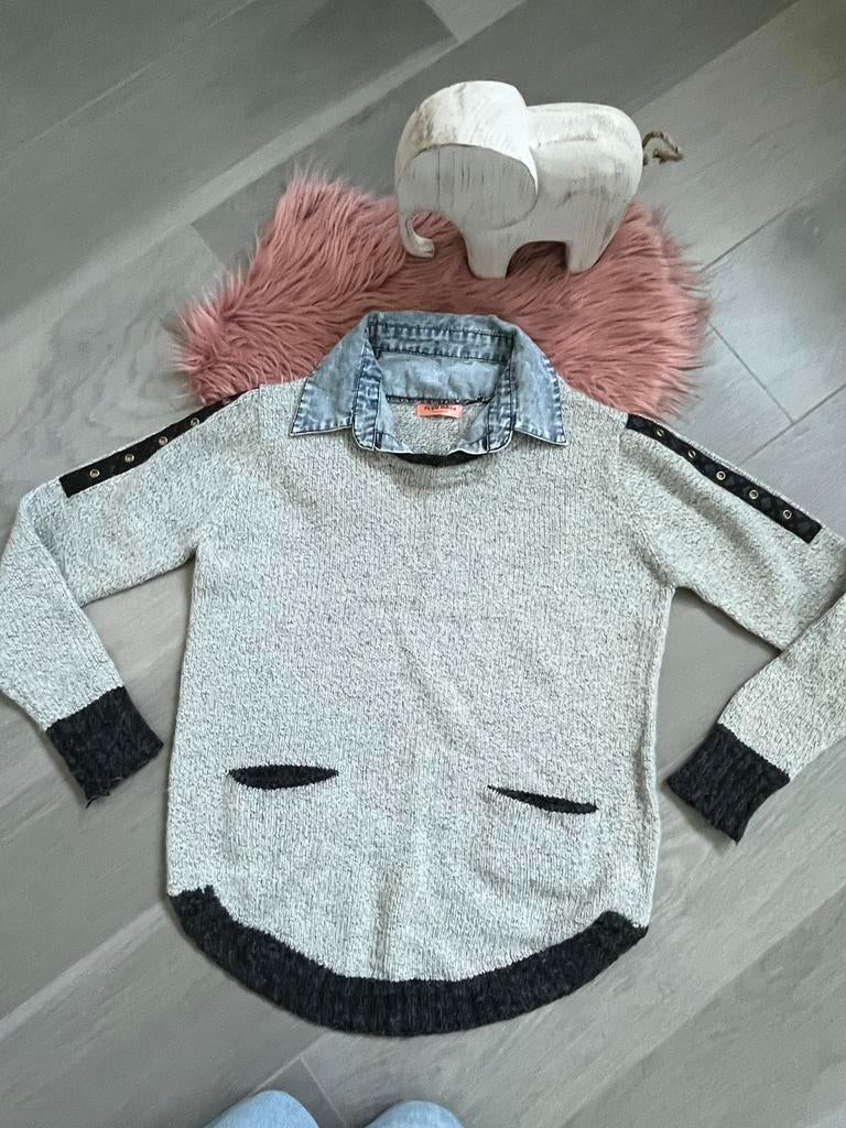 Toffe trui met kraag, Ophalen of Verzenden, Zo goed als nieuw, Maat 36 (S)