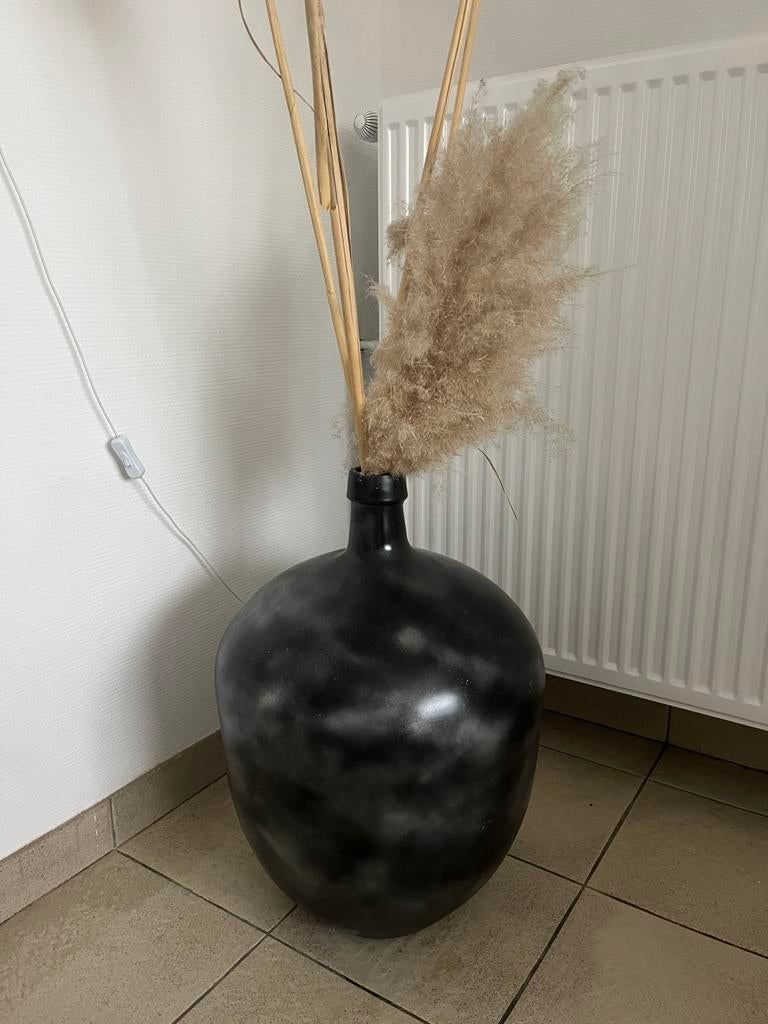 Pampas zeer mooi, Enlèvement, Comme neuf