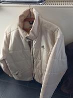 Herenvesten, Ophalen, Maat 48/50 (M)