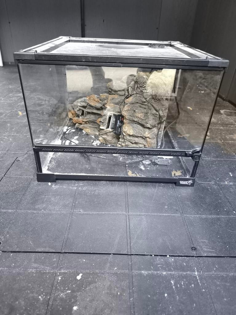 Terrarium 40x40x30, Animaux & Accessoires, Enlèvement