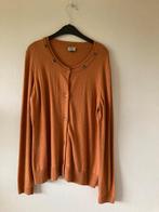 Roestkleurige cardigan, Mi Vida, maat: small, Overige kleuren, Mi Vida, Ophalen of Verzenden, Zo goed als nieuw