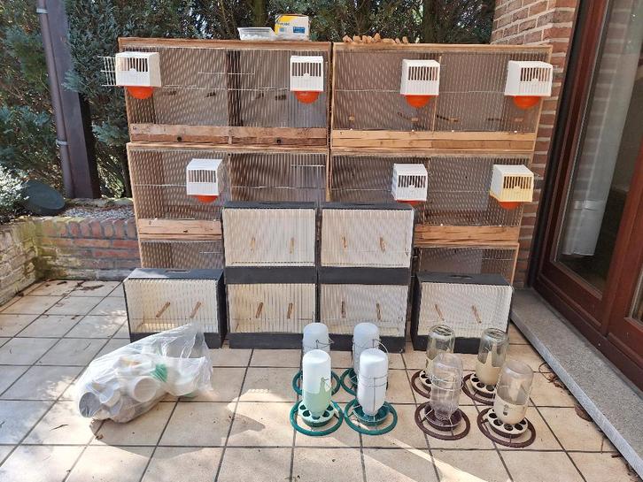 Kweekbakken en toebehoren, Animaux & Accessoires, Oiseaux | Cages & Volières, Utilisé, Cage d'élevage, Bois, Enlèvement