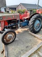 tracteur, Enlèvement, Oldtimer/Ancêtre, Massey Ferguson