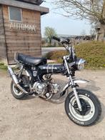 Zenhua Dax 50cc B klasse, Autres modèles, 4 vitesses, 49 cm³, Classe B (45 km/h)