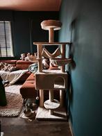 Arbre à chat Maxi Zoo, Enlèvement, Comme neuf, Griffoir