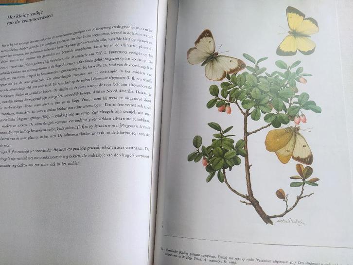 boek: Natuur- en Vogelreservaten/Hoge Venen & De Kempen, Boeken, Natuur, Zo goed als nieuw, Natuur algemeen, Ophalen of Verzenden