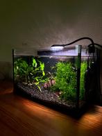Aquarium 30L + toebehoren, Ophalen, Zo goed als nieuw