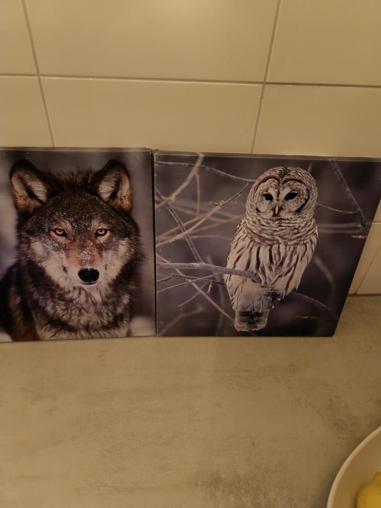 4 schilderijen canvas 30 x30, Ophalen