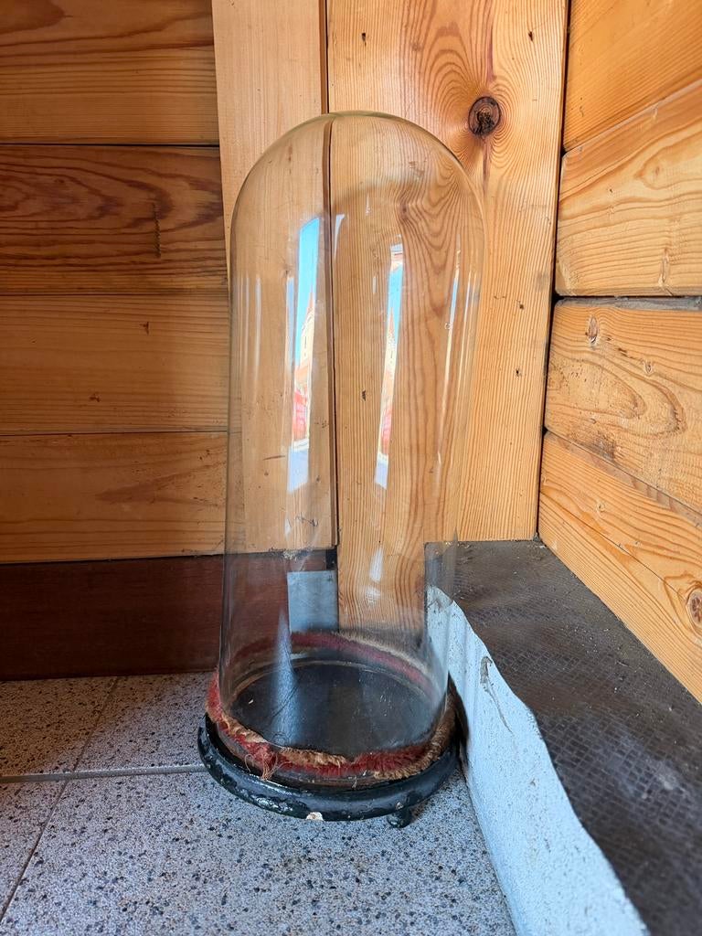 Glazen Stolp voor beelden, Ophalen, Gebruikt