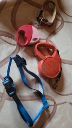 Laisse, Animaux & Accessoires, Enlèvement