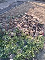 Gratis beige kiezel en maaskeien, Tuin en Terras, Ophalen, Beige