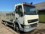 Camion Daf AE45BF 2004, Autos, Achat, Entreprise, Autres carburants, DAF
