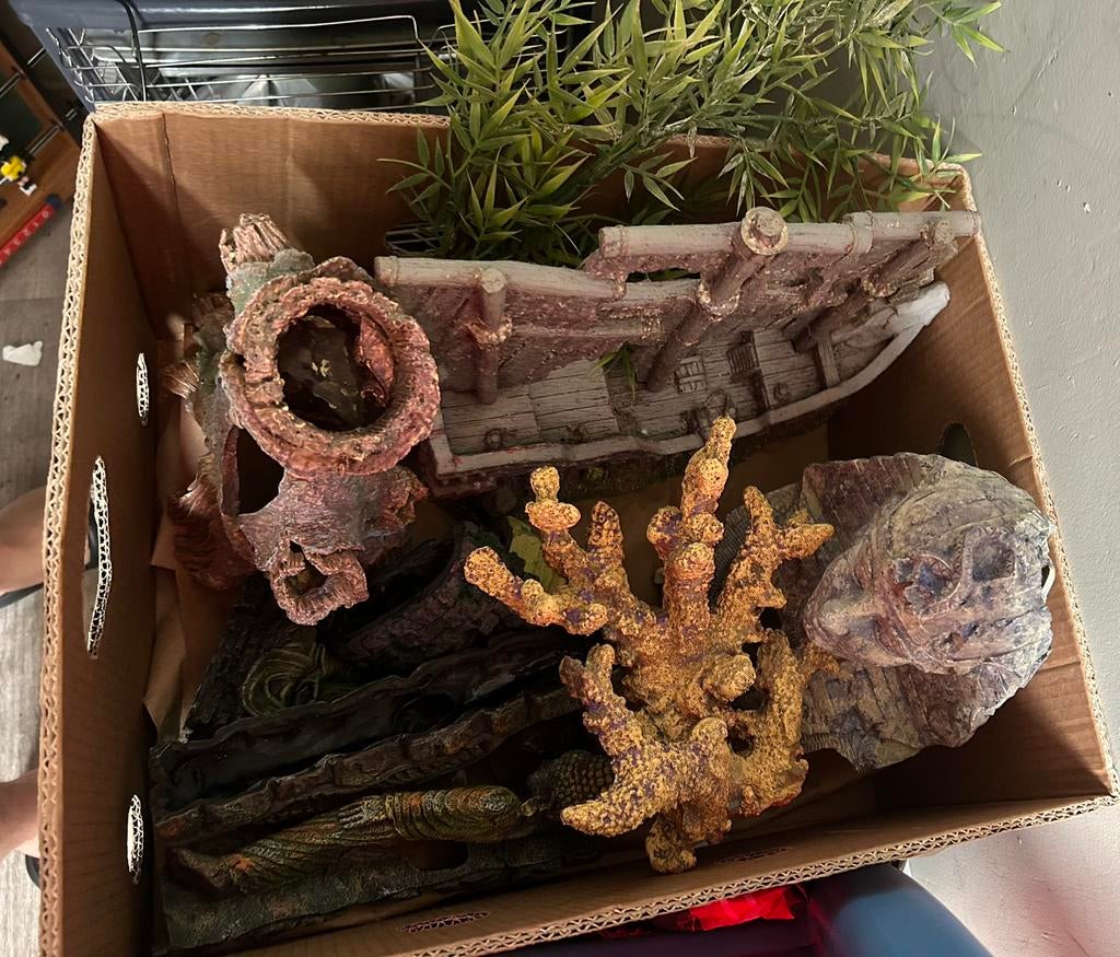 aquarium - Aquariumdecoratie, Maison & Meubles, Accessoires pour la Maison | Fleurs séchées, Enlèvement, Comme neuf