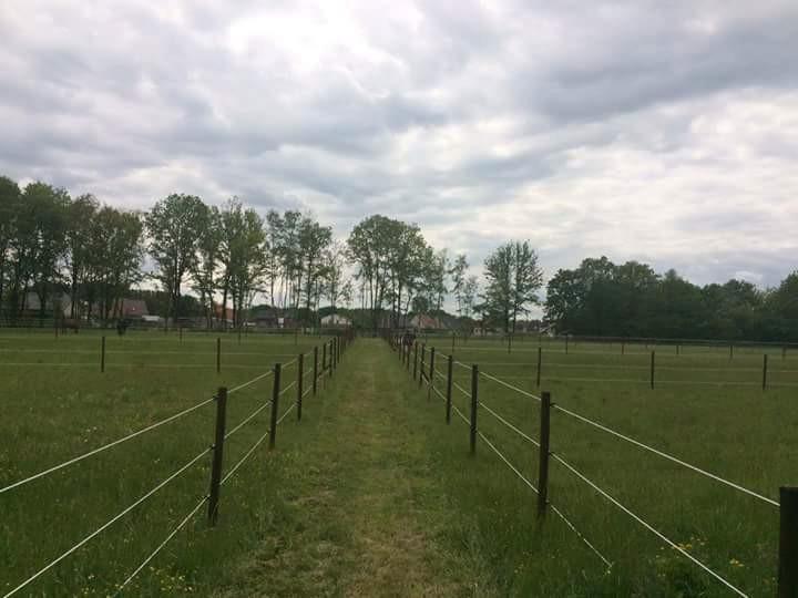 Pension stal met dagelijkse weidegang, Animaux & Accessoires, Box & Pâturages, Pâturage