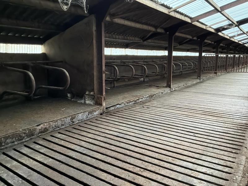 Cubicles, Animaux & Accessoires, Box & Pâturages