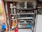 Aquariumstelling met 3 aquariums, Enlèvement, Utilisé, Aquarium vide