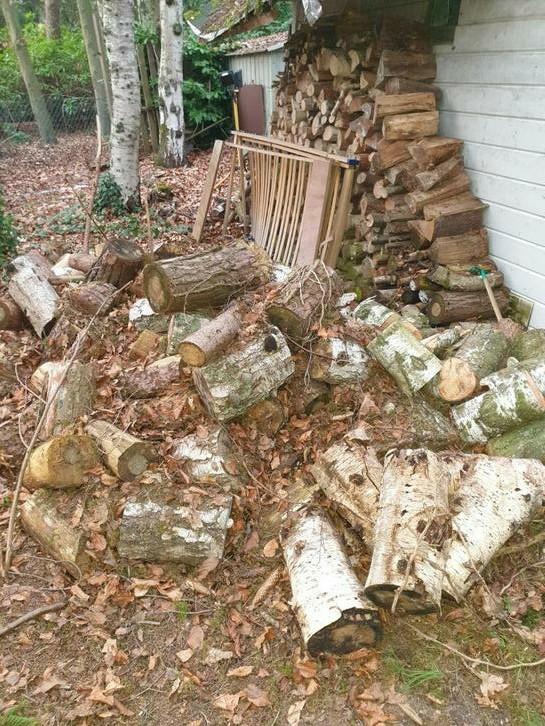 Gratis brandhout, Tuin en Terras, Brandhout, Ophalen