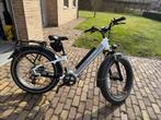 Electriche fiets met dikke banden goede staat, Fietsen en Brommers, Ophalen, Zo goed als nieuw, Overige merken