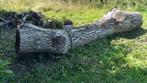 Stam Notelaar, Ophalen, Nieuw, 250 cm of meer, Balken
