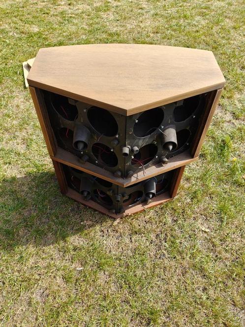 Lege Bose 901 kasten, hout in goede staat, Audio, Tv en Foto, Luidsprekerboxen, Gebruikt, Bose, Ophalen
