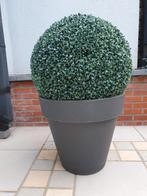 Bloempot Elho Antraciet en kunstbuxus, Tuin en Terras, Ophalen, Zo goed als nieuw