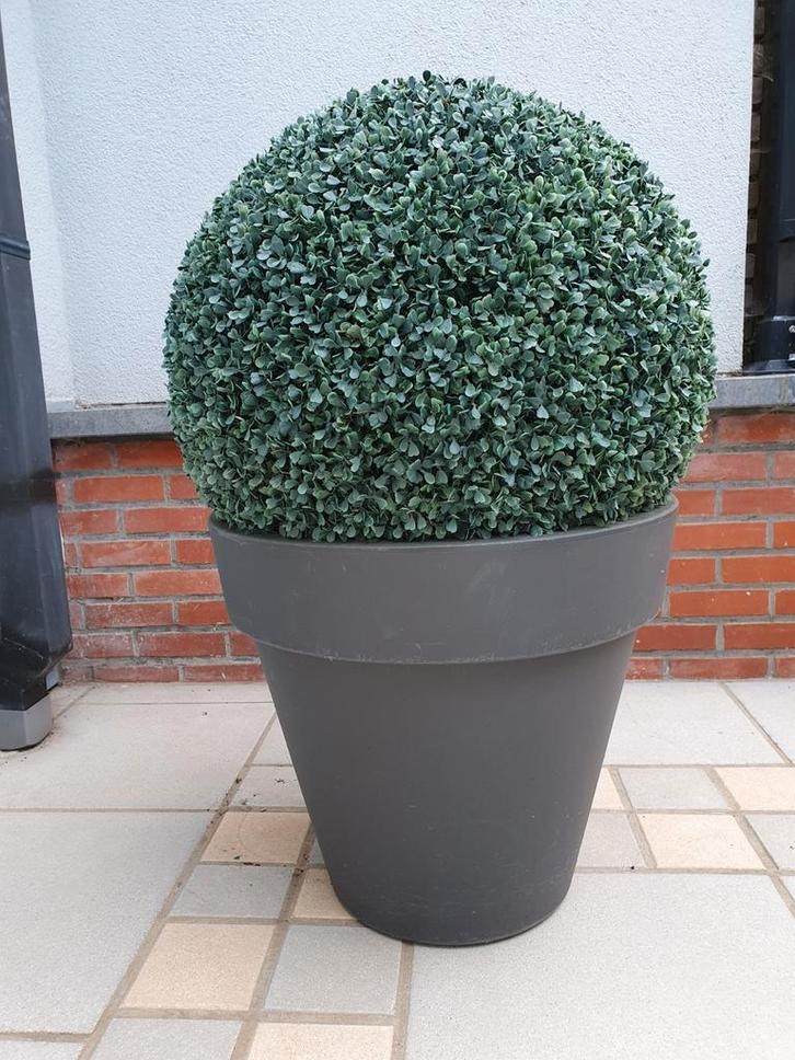 Bloempot Elho Antraciet en kunstbuxus, Tuin en Terras, Bloembakken en Plantenbakken, Zo goed als nieuw, Ophalen