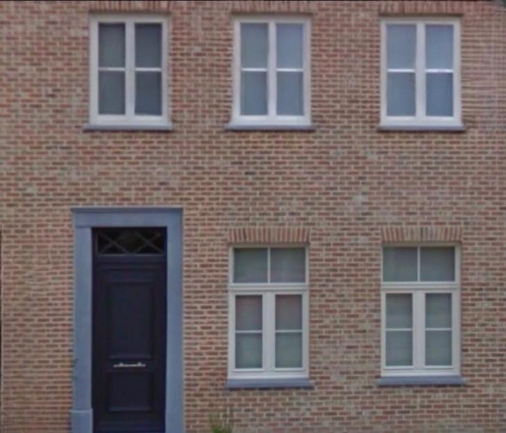 Pvc ramen met elektrische rolluiken en voordeur en acherdeur, Doe-het-zelf en Bouw, Raamkozijnen en Schuifdeuren, Zo goed als nieuw