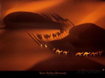Ingelijste posters, onder glas, naar Yann ARTHUS-BERTRAND. beschikbaar voor biedingen